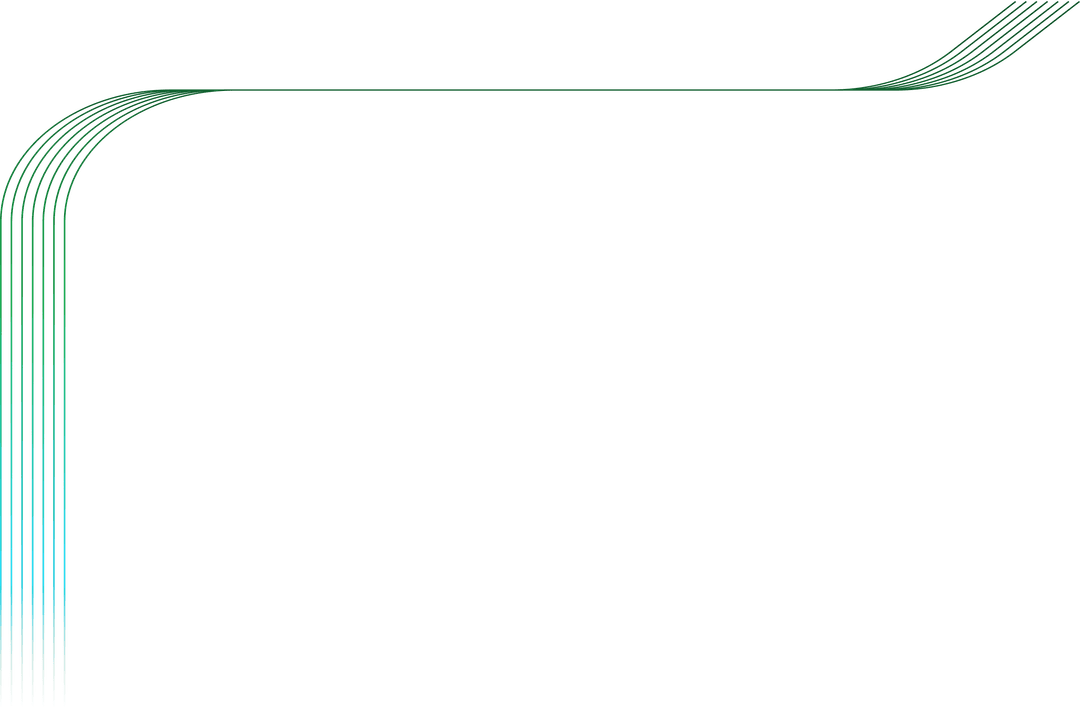 vector