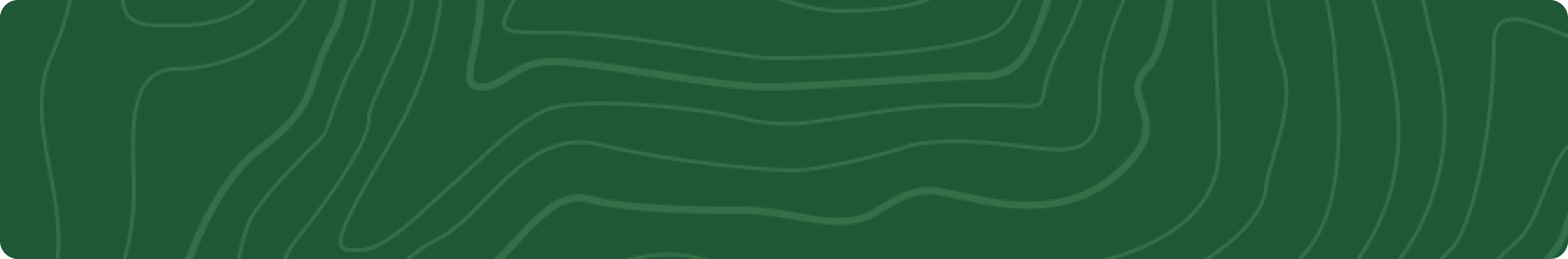 Terms and Conditions Background